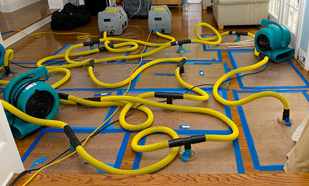 Professional Basement Flood Cleanup technician working in Collinsville, VA